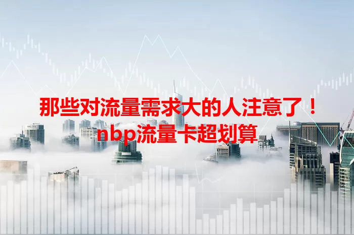 那些对流量需求大的人注意了！nbp流量卡超划算