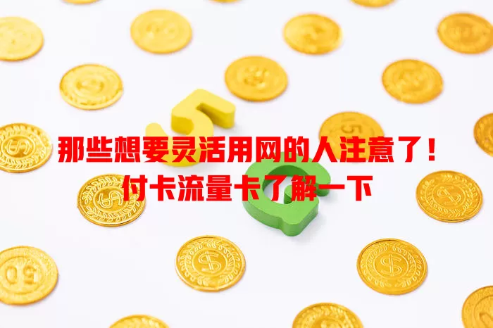 那些想要灵活用网的人注意了！付卡流量卡了解一下