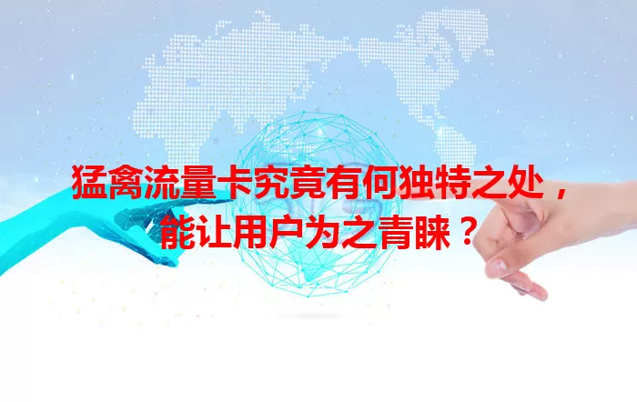 猛禽流量卡究竟有何独特之处，能让用户为之青睐？