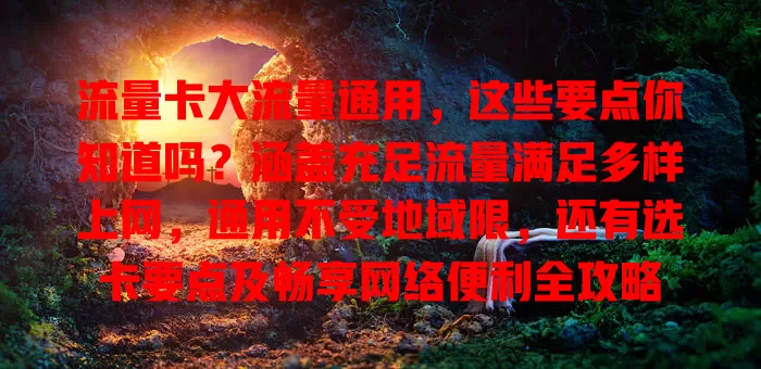流量卡大流量通用，这些要点你知道吗？涵盖充足流量满足多样上网，通用不受地域限，还有选卡要点及畅享网络便利全攻略