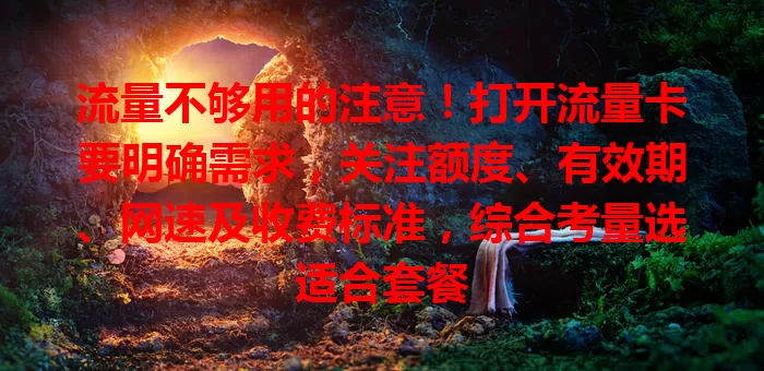 流量不够用的注意！打开流量卡要明确需求，关注额度、有效期、网速及收费标准，综合考量选适合套餐