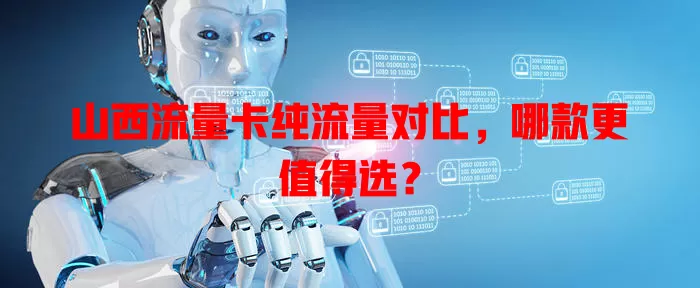 山西流量卡纯流量对比，哪款更值得选？
