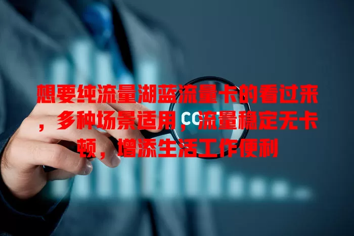 想要纯流量湖蓝流量卡的看过来，多种场景适用，流量稳定无卡顿，增添生活工作便利