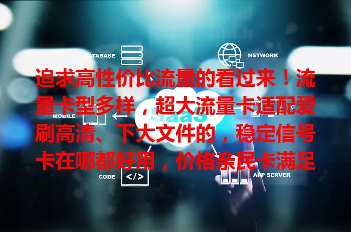 追求高性价比流量的看过来！流量卡型多样，超大流量卡适配爱刷高清、下大文件的，稳定信号卡在哪都好用，价格亲民卡满足基本需求。选卡依自身情况，找到契合的让网络生活更便捷高效！