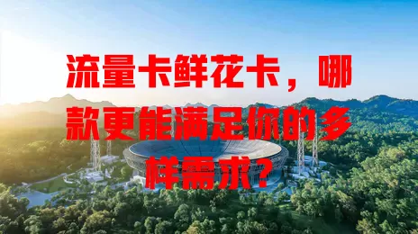 流量卡鲜花卡，哪款更能满足你的多样需求？