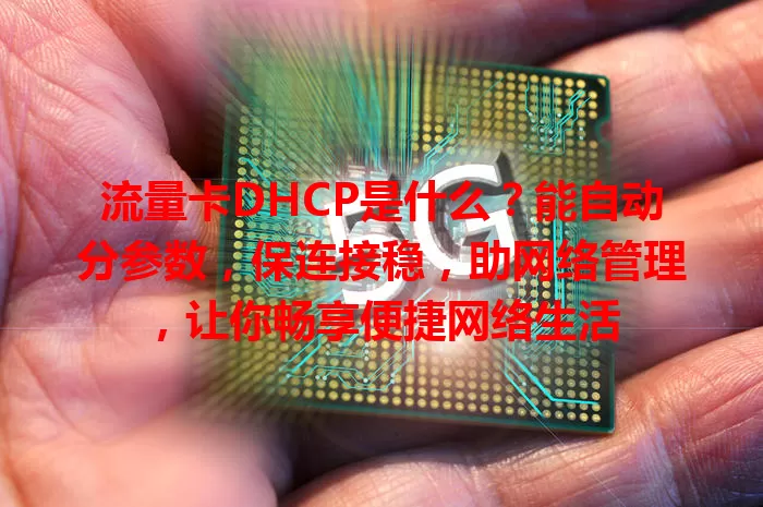 流量卡DHCP是什么？能自动分参数，保连接稳，助网络管理，让你畅享便捷网络生活