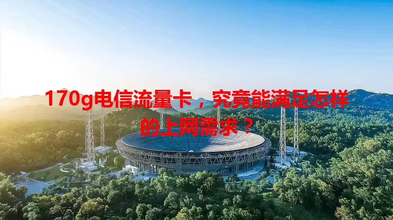 170g电信流量卡，究竟能满足怎样的上网需求？