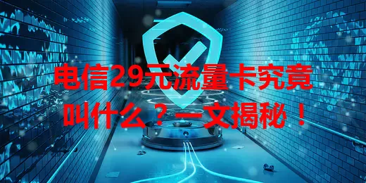 电信29元流量卡究竟叫什么？一文揭秘！