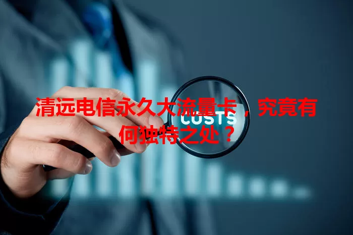 清远电信永久大流量卡，究竟有何独特之处？