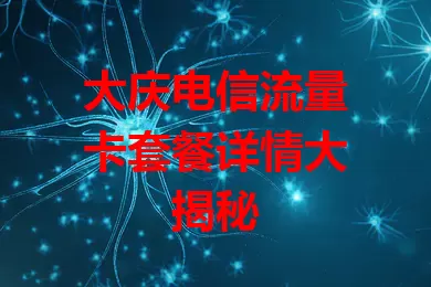 大庆电信流量卡套餐详情大揭秘