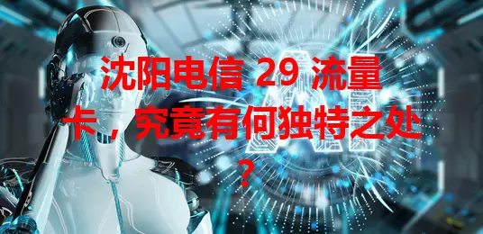 沈阳电信 29 流量卡，究竟有何独特之处？