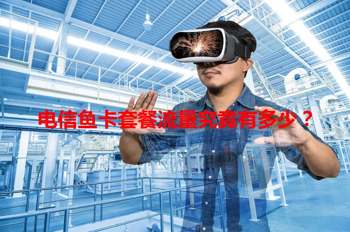 电信鱼卡套餐流量究竟有多少？