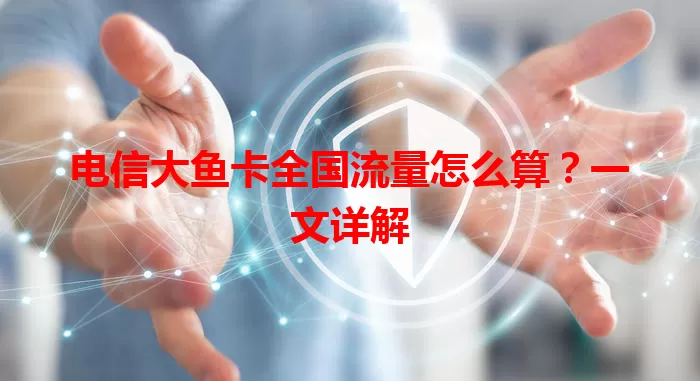 电信大鱼卡全国流量怎么算？一文详解