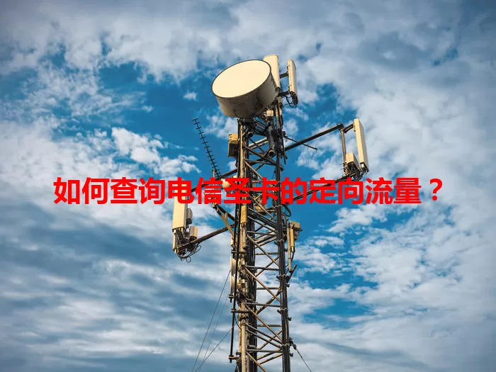 如何查询电信圣卡的定向流量？