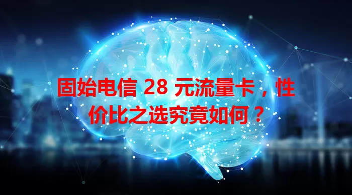 固始电信 28 元流量卡，性价比之选究竟如何？