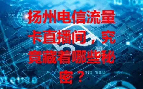 扬州电信流量卡直播间，究竟藏着哪些秘密？
