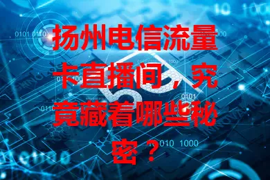 扬州电信流量卡直播间，究竟藏着哪些秘密？