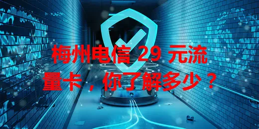 梅州电信 29 元流量卡，你了解多少？