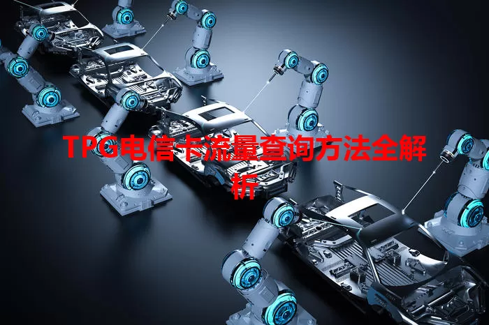 TPG电信卡流量查询方法全解析