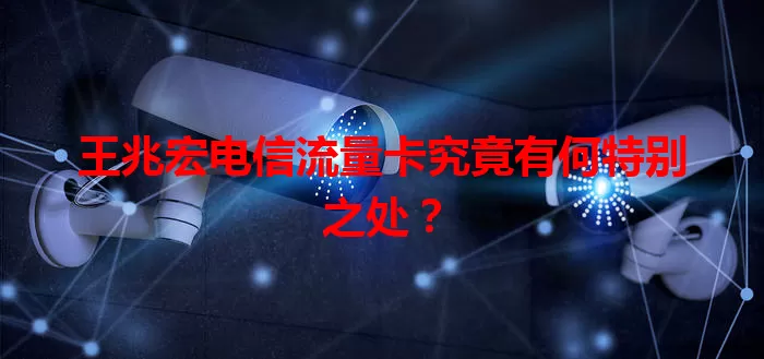王兆宏电信流量卡究竟有何特别之处？