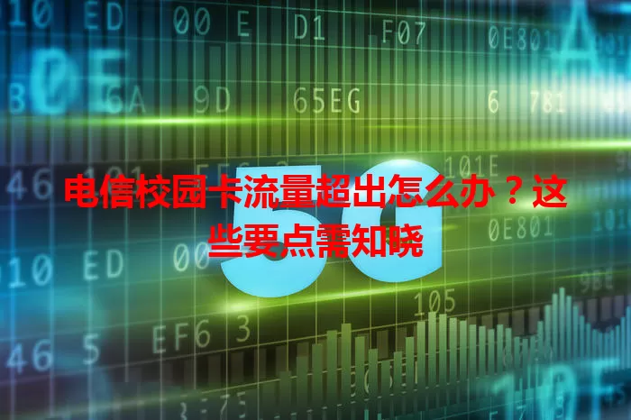 电信校园卡流量超出怎么办？这些要点需知晓