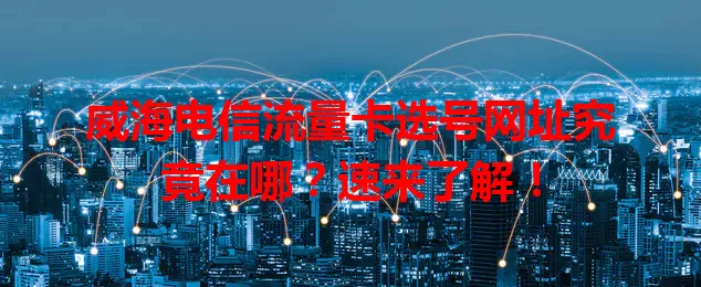 威海电信流量卡选号网址究竟在哪？速来了解！