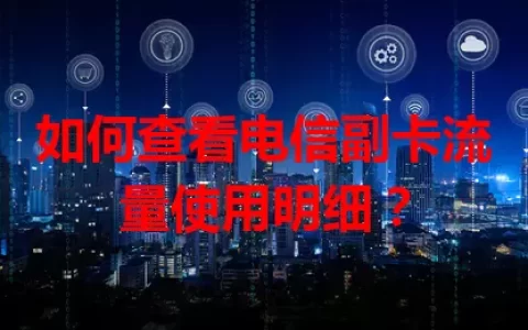 如何查看电信副卡流量使用明细？