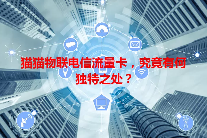 猫猫物联电信流量卡，究竟有何独特之处？