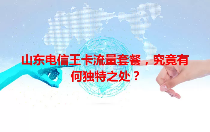 山东电信王卡流量套餐，究竟有何独特之处？