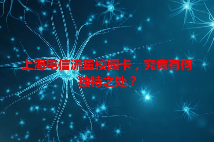 上海电信流量校园卡，究竟有何独特之处？
