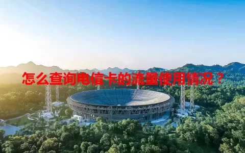 怎么查询电信卡的流量使用情况？