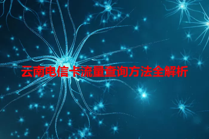 云南电信卡流量查询方法全解析