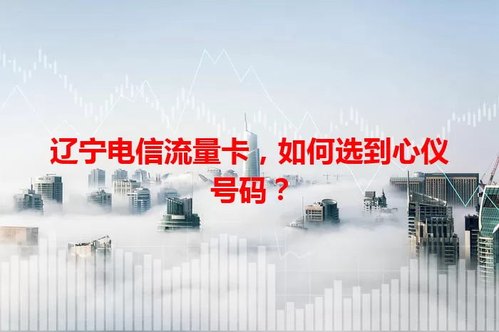 辽宁电信流量卡，如何选到心仪号码？