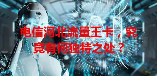 电信河北流量王卡，究竟有何独特之处？