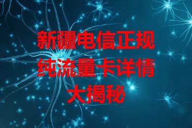 新疆电信正规纯流量卡详情大揭秘