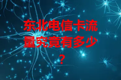 东北电信卡流量究竟有多少？