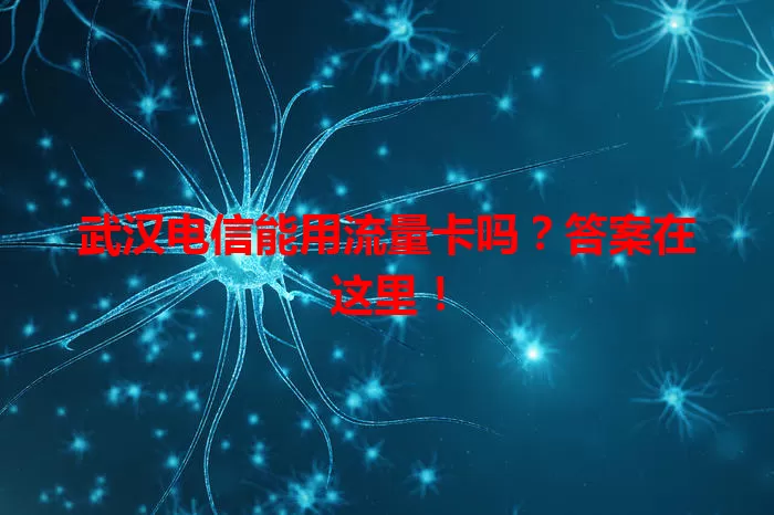 武汉电信能用流量卡吗？答案在这里！