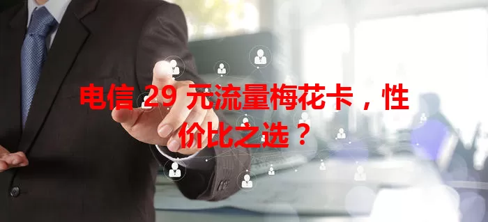 电信 29 元流量梅花卡，性价比之选？