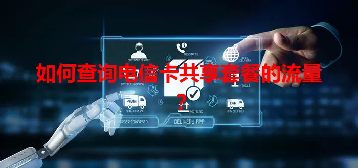 如何查询电信卡共享套餐的流量？