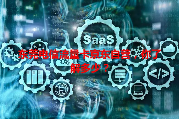 东莞电信流量卡京东自营，你了解多少？