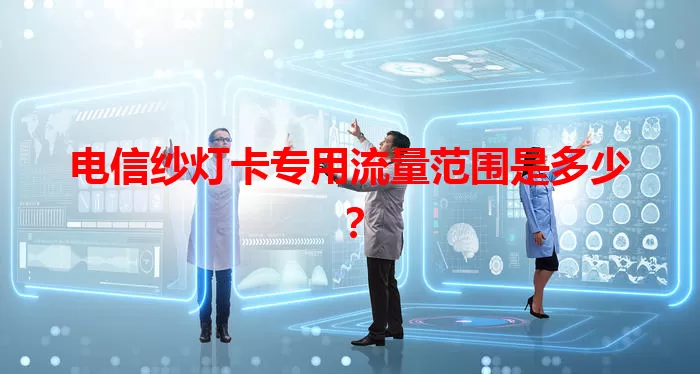 电信纱灯卡专用流量范围是多少？