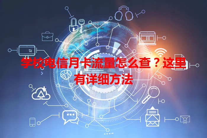 学校电信月卡流量怎么查？这里有详细方法