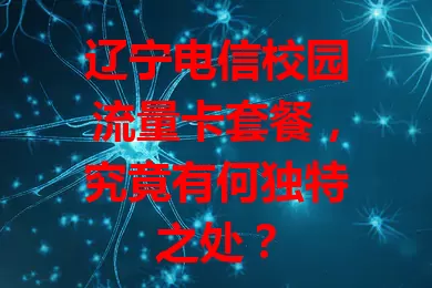 辽宁电信校园流量卡套餐，究竟有何独特之处？