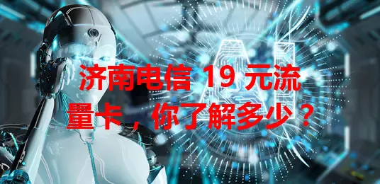济南电信 19 元流量卡，你了解多少？