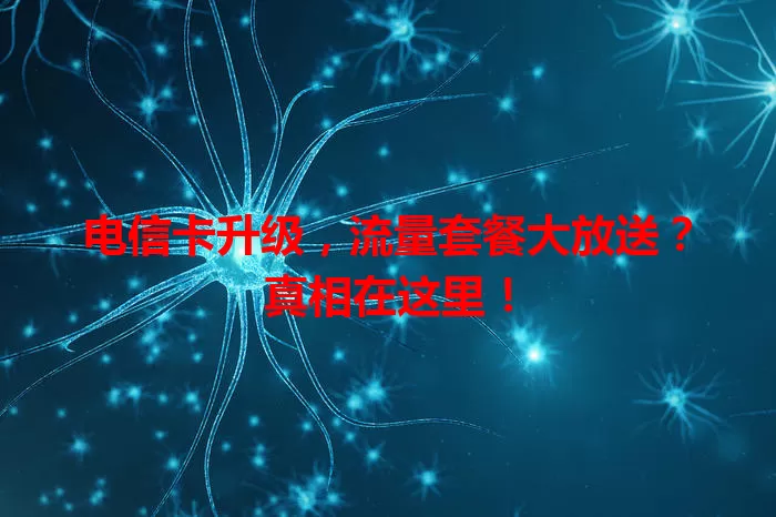 电信卡升级，流量套餐大放送？真相在这里！