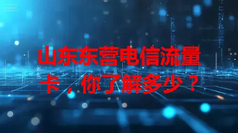 山东东营电信流量卡，你了解多少？